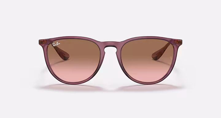 Ray-Ban, Erika Classic, vista 1 de 4